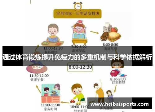 通过体育锻炼提升免疫力的多重机制与科学依据解析